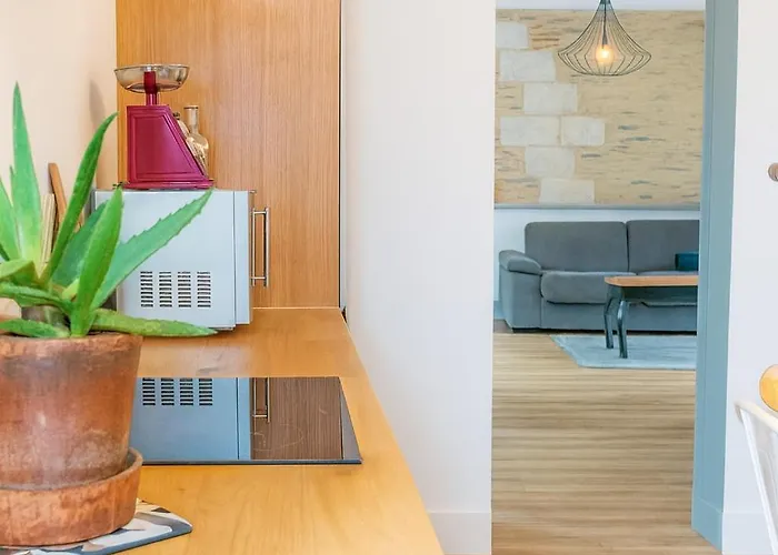 Апартаменты T2 Premium Avec Terrasse Chez Henri